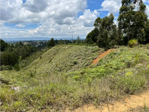 Rhbr-14483 (lote) (guarne)
