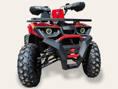 Imagen 9 de 20 de Tao Motor Hunter 250