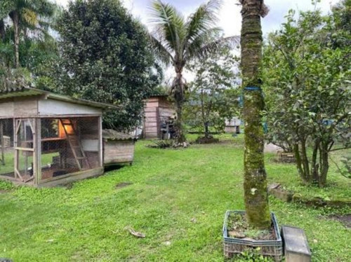 Imagem 7 de 14 de Chácara No Litoral Com 4 Dormitórios Em Itanhaém-sp | 8262pc