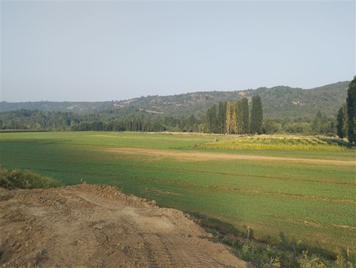 Agrícola En Venta En Curicó