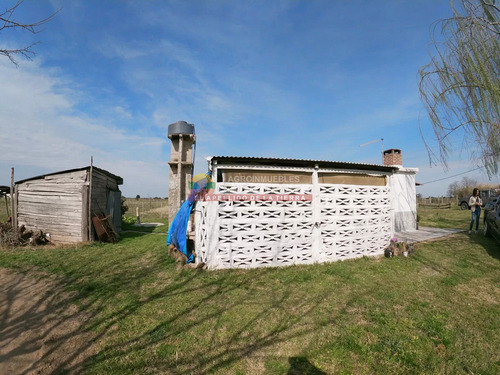 Chacra En Venta Los Cerrillos, 1 Has Con Casa De Dos Dormitorios