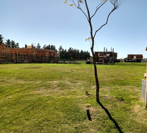 Imagen 4 de 9 de Lote Al Río - Orientación N.e - El Yacht - Nordelta