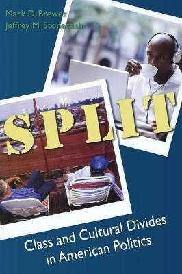 Split : Class And Cultural Divides In American Politics -...