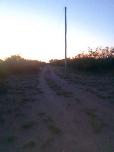 Venta Campo San Luis Nogoli 77 Hectareas Posibilidad Fraccion