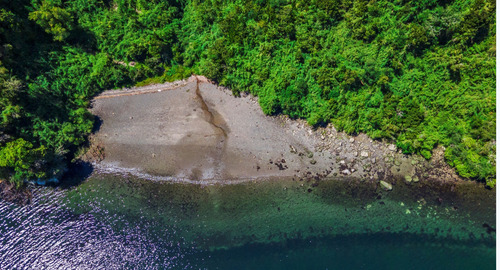 Vende Hermoso Predio De 4,95 Hás En Isla Tranqui, Chiloé