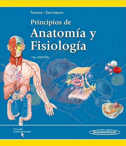 Principios De La Anatomía Y Fisiología 13a Edición 