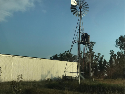 Imagen 14 de 14 de Venta De Campo Las Flores Buenos Aires