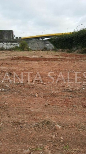 Imagem 5 de 10 de Espetacular Terreno 3300 Metros Quadrados No Ipiranga!! - Ss46296