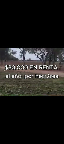 Rancho En Venta O Renta Irapuato