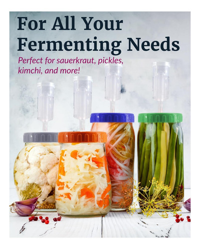 Elementi Mason Jar Kit De Fermentación Juego De 4 Pesos De Y