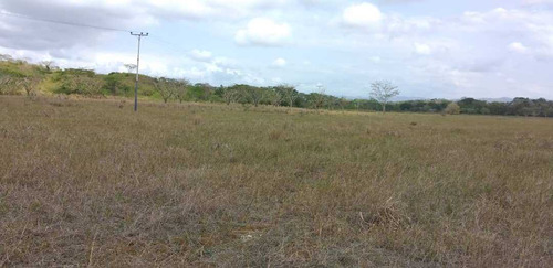 Imagen 3 de 17 de Finca En La Colonia En Yaracal Edo. Falcon