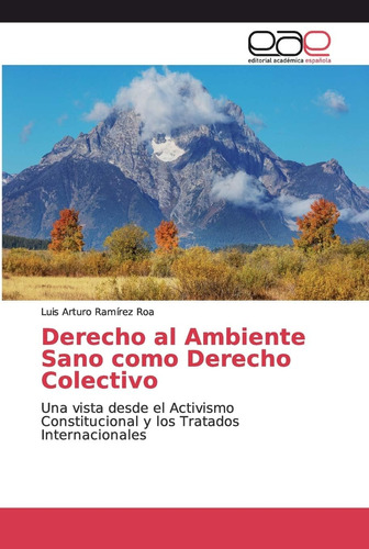 Libro: Derecho Al Ambiente Sano Como Derecho Colectivo: Una