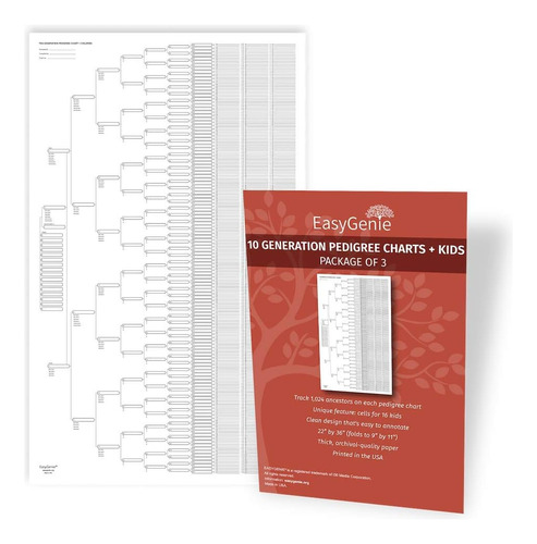 10 Gráficos Genealógicos Blanco De 10 Generaciones (p...