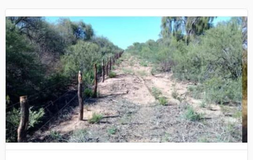 Imagen 4 de 19 de Campo - El Chacho