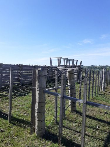 Venta De 60 Hectáreas Por Ruta 13 Paraje El Maturrango Roch (ref: Ksk-719)