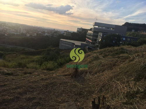 Imagem 11 de 15 de Terreno Para Alugar, 1200 M² Por R$ 2.000,00/mês - Estoril - Belo Horizonte/mg - Te0041