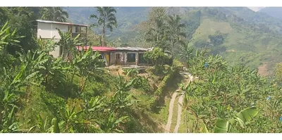 Finca en venta
