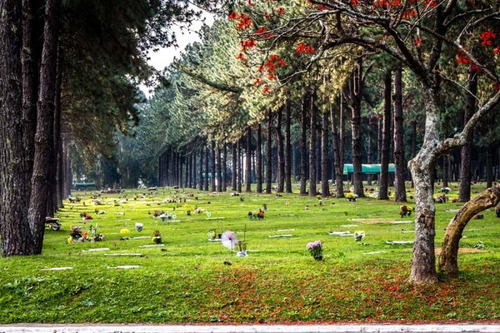 Jazigo 4 Gavetas Cemitério Jardim Da Colina Sbc