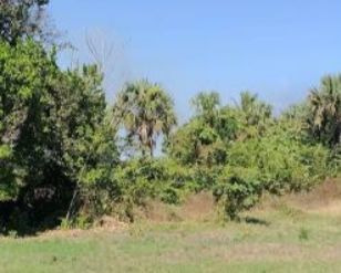 Vendo Terreno Ideal Para Desarrollo De Proyecto Turístico