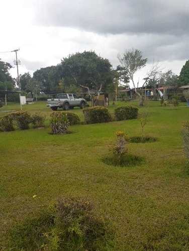 Imagen 7 de 9 de Se Vende Hato En San Agustin De La Pica Ve02-1225vlp-mche