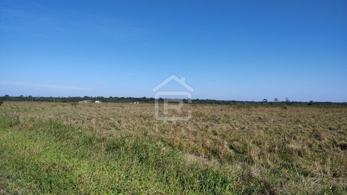 Imagem 7 de 30 de Fazenda Localizada Em Iguape- Sp Com 280 Alqueires - 262 - 71153412
