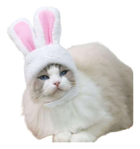 Divertido Gorro Sombrero Disfraz Para Gato Orejas De Conejo 