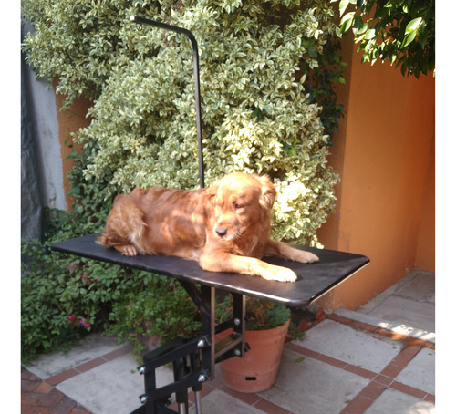 Mesa Para Estética Canina Con Doble Pistón Neumático