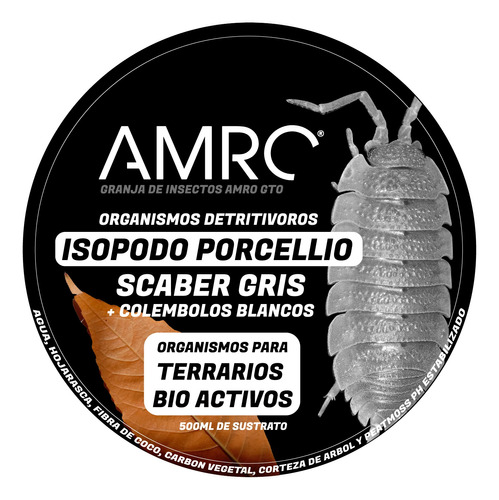 Bote Colonia De Colémbolos E Isópodos Porcellio Scaber Gris 