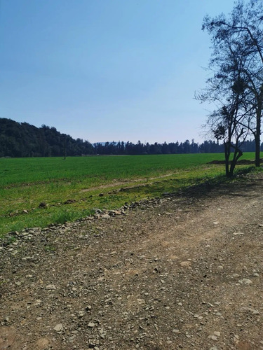 Hermosa Parcela En Teno Rebajada