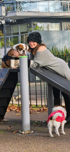 Casita - Guarderia Familiar Canina