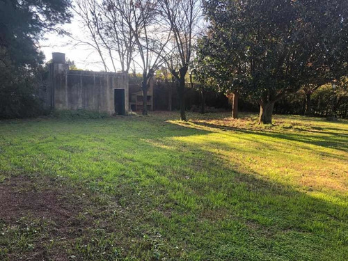 Imagen 7 de 8 de Quinta En Venta