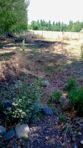 Imagen 8 de 8 de Venta Lote 800 M2 Malargue Mendoza