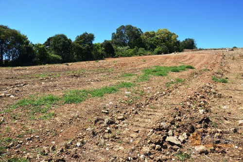 Imagem 11 de 12 de Terreno À Venda, 426 M² Por R$ 221.600,00 - São Luiz - Caxias Do Sul/rs - Te0087