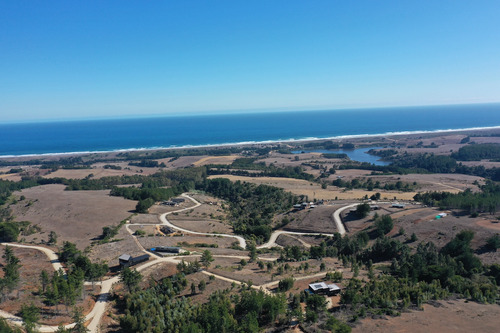Mar Y Bosque Sobre Punta De Lobos