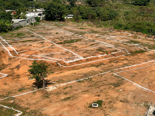 Venta De Lotes De Terreno Cerca Al Tecnologico De Tuxtepec En Tuxtepec Oaxaca