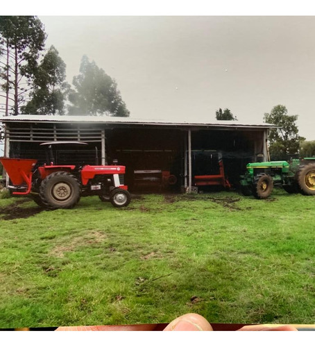 Campo En Ticahue - 57 Ha Ganadero