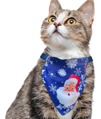 Cat top christmas bandana