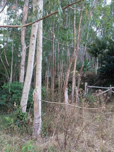 Imagem 8 de 10 de Chácara À Venda No Bairro Chapadão Figueira - Botuverá/sc - 1943c