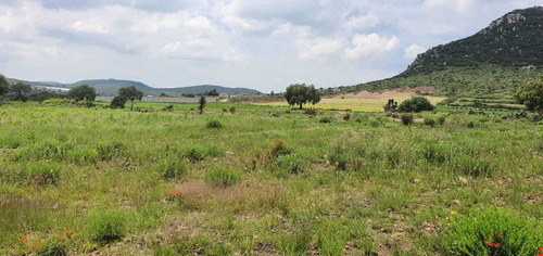 Imagen 4 de 6 de Terreno Rustico De Inversion