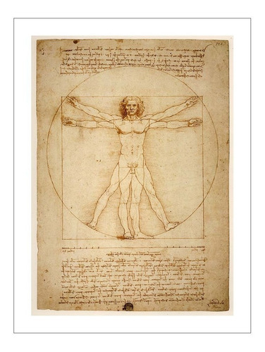 Lamina Fine Art El Hombre De Vitruvio Da Vinci 28x40 M Y C
