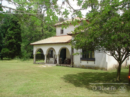 Campo Mixto En Venta De 228 Has Sobre Ruta 29 -en Brandsen