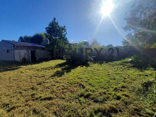 Imagen 7 de 11 de Venta Terreno En Muñiz
