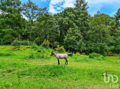 Venta Rancho 0 Ambiente Cochisquila
