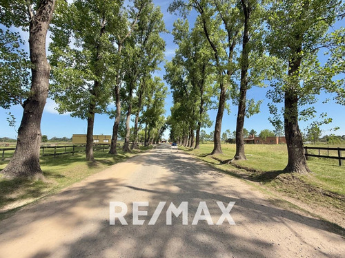 Venta Lote De 5000 Mts2 Haras El Malacate Financ