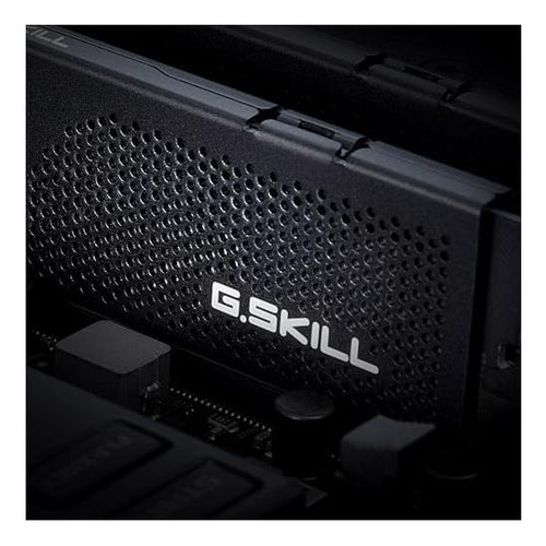 G.skill Flare X5 Series (amd Expo) Ddr5 Ram 64gb (2x32gb) De