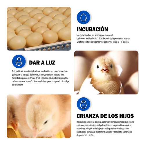 Incubadoras Automáticas De 204 Huevos,incubadora Automatica