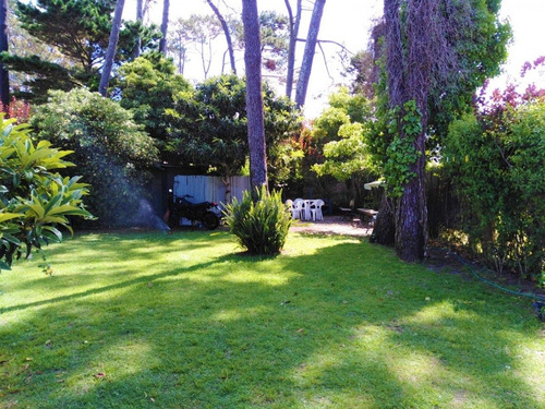 Casa En Punta Del Este, San Rafael- Ref: 764