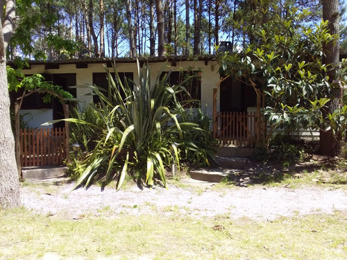 Cabañas Acrópolis Para 4 Personas La Paloma Rocha