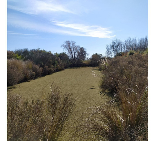 Vendo Excelente Campo Agrícola Con Tajamares Para Riego Y 2 Pozos Para Riego De 40.000 L/h Riego Instalado En Todo El Campo