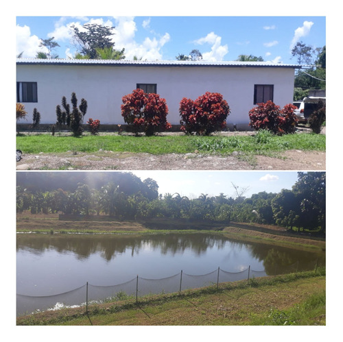 Finca Con Casa Y Lago